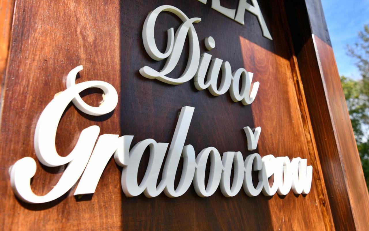 Villa Diva Grabovceva Rakovica Extérieur photo
