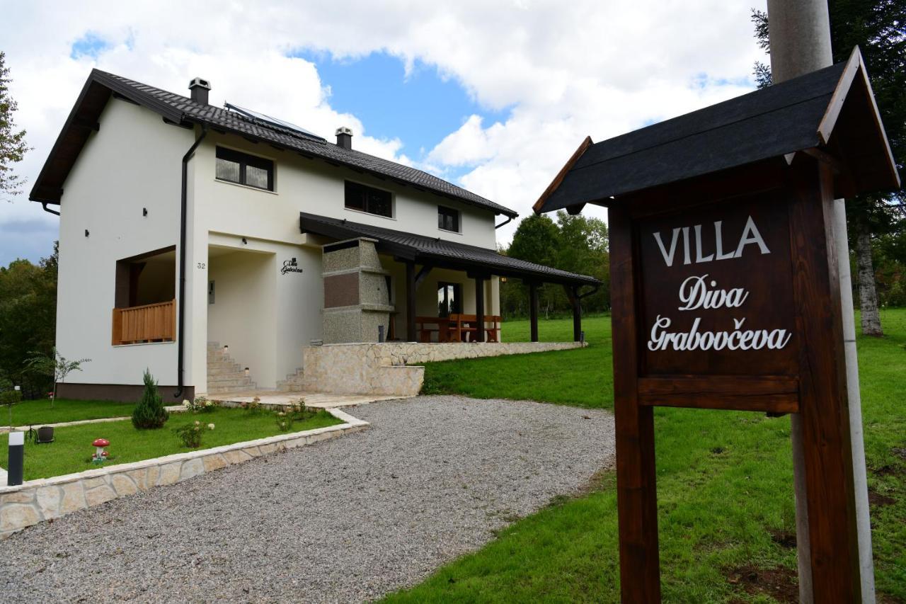 Villa Diva Grabovceva Rakovica Extérieur photo